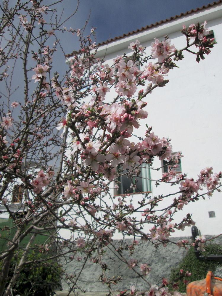 La Palma Hostel By Pension Central Fuencaliente de la Palma Kültér fotó