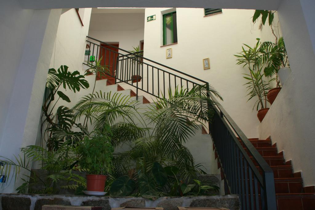 La Palma Hostel By Pension Central Fuencaliente de la Palma Kültér fotó